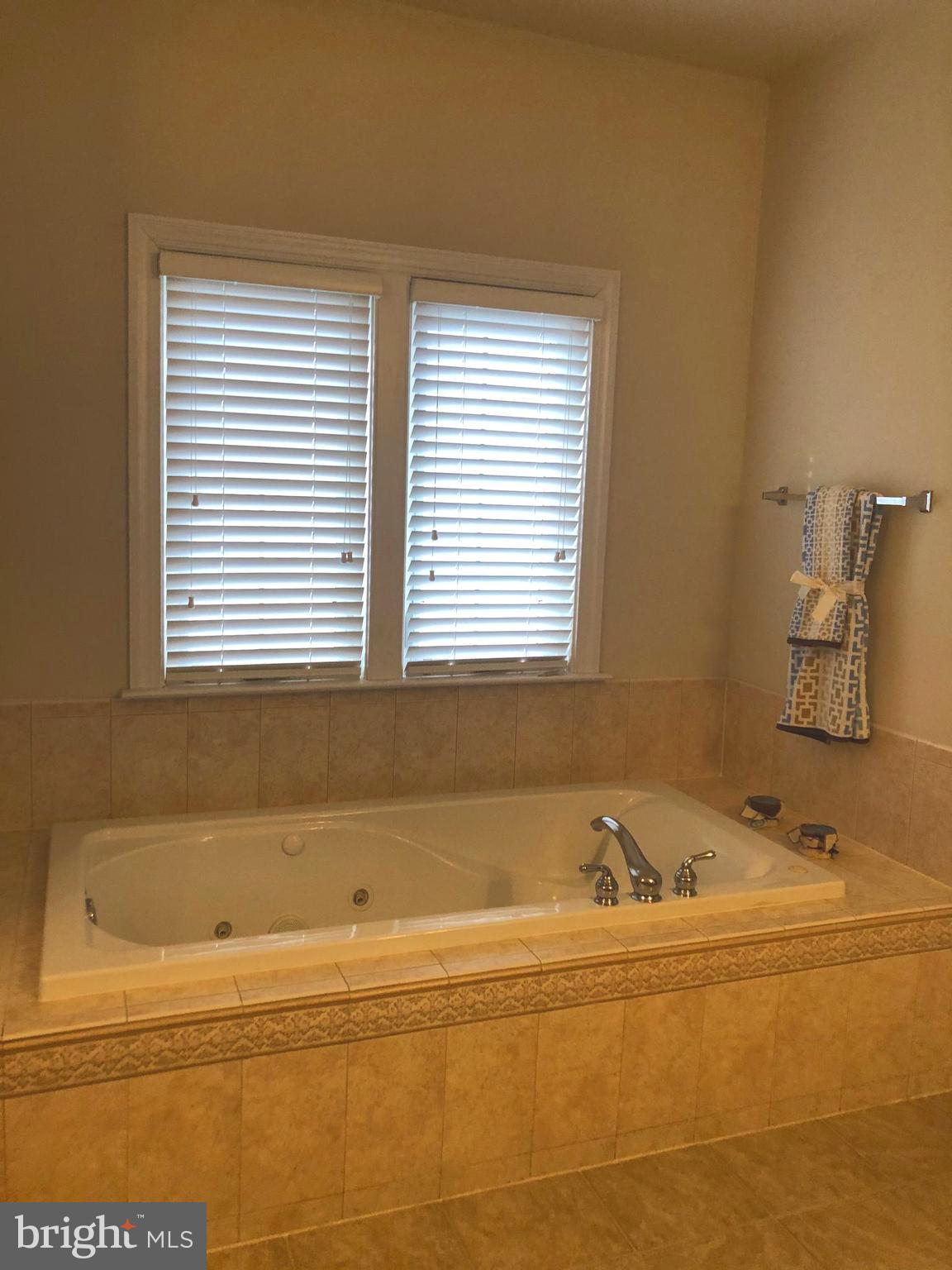 4853 Muddler Way Fairfax, VA 22030 - Photo 16 of 31 Soaking Jetted Tub in the Master Bath