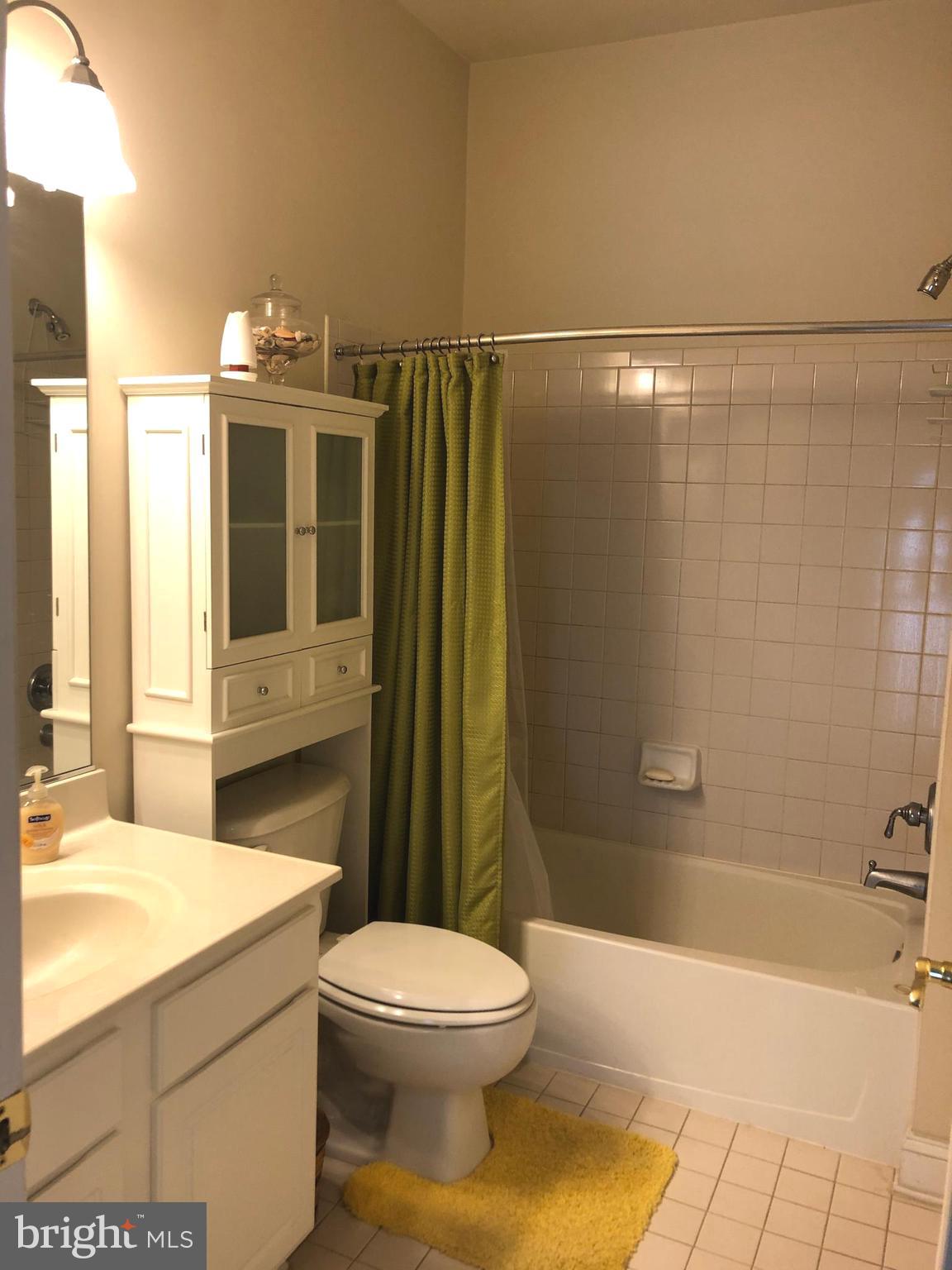 4853 Muddler Way Fairfax, VA 22030 - Photo 18 of 31 Hall Bath