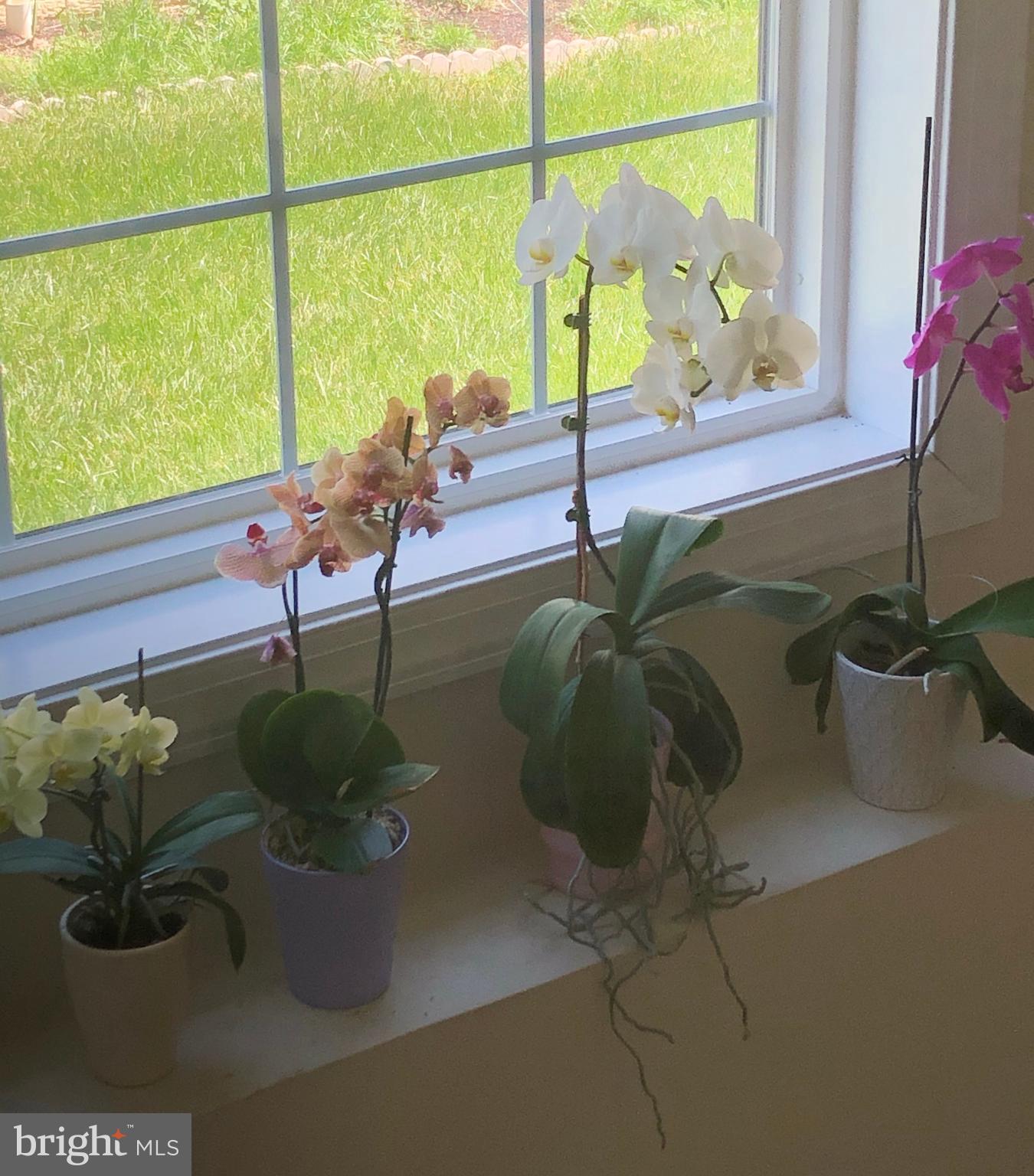 4853 Muddler Way Fairfax, VA 22030 - Photo 21 of 31 Staircase to Lower Level