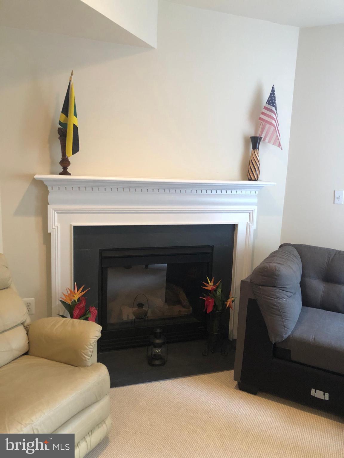 4853 Muddler Way Fairfax, VA 22030 - Photo 22 of 31 Lower Level Rec Room with Gas Fireplace