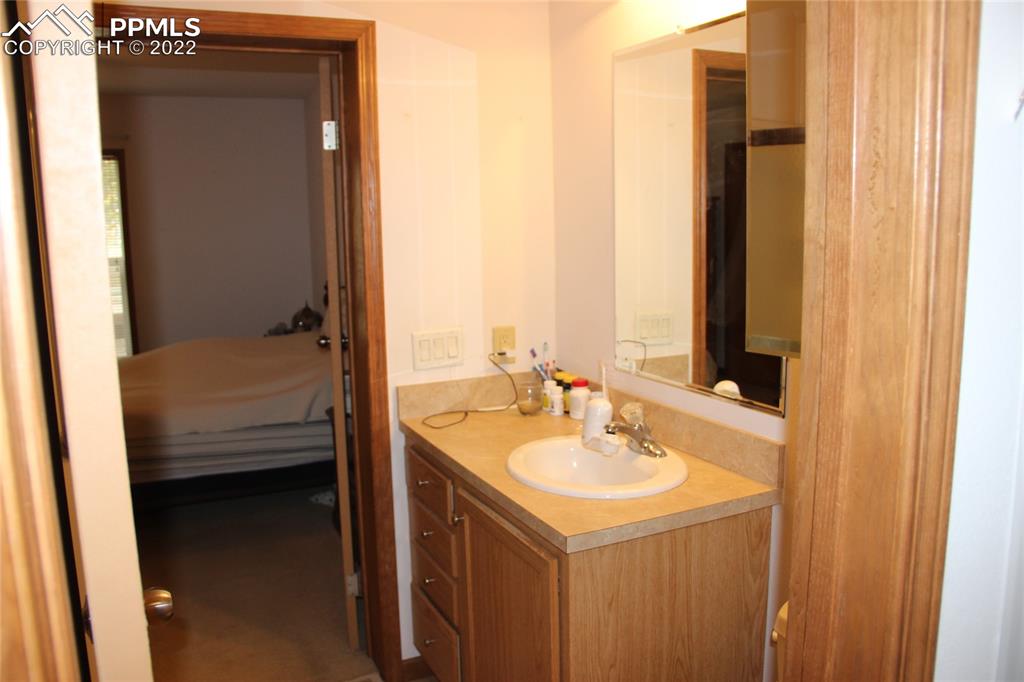 749 9th Street Calhan, CO 80808 - Photo 25 of 43 a en suite bathroom with a sink and a mirror