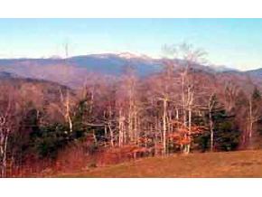 7 Summit Vista Road, Unit 3 Bartlett, NH 03845 - Photo 2 of 9