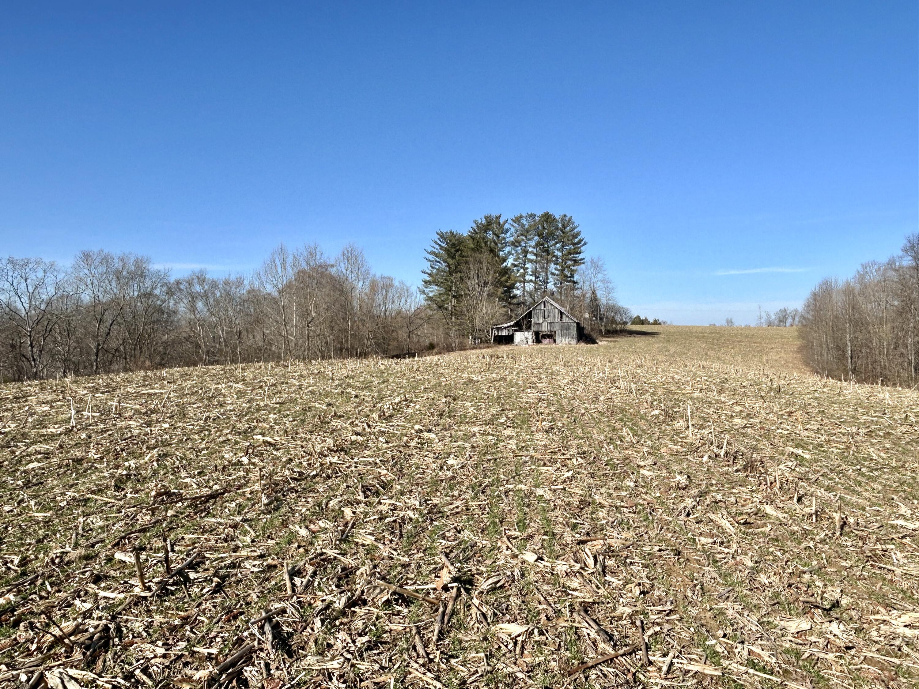 3800 Piney Grove Road Nancy, KY 42544 - Photo 14 of 15 IMG_E5543