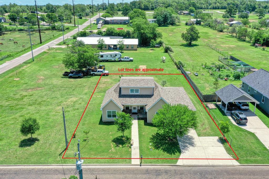 a view of a garden with plants