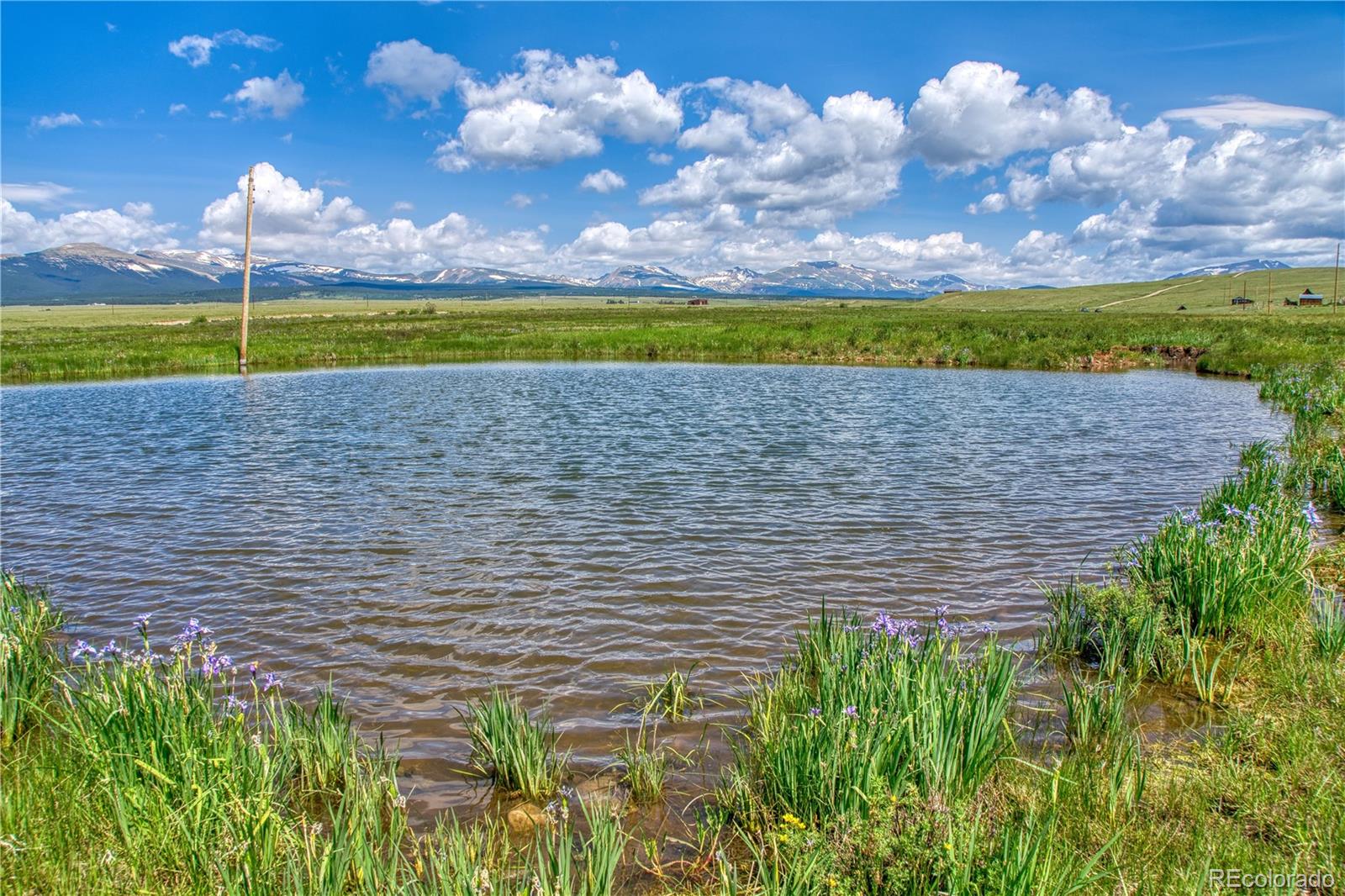 788 Meier Ridge Trail Fairplay, CO 80440 - Photo 11 of 35 Gallery Image 11