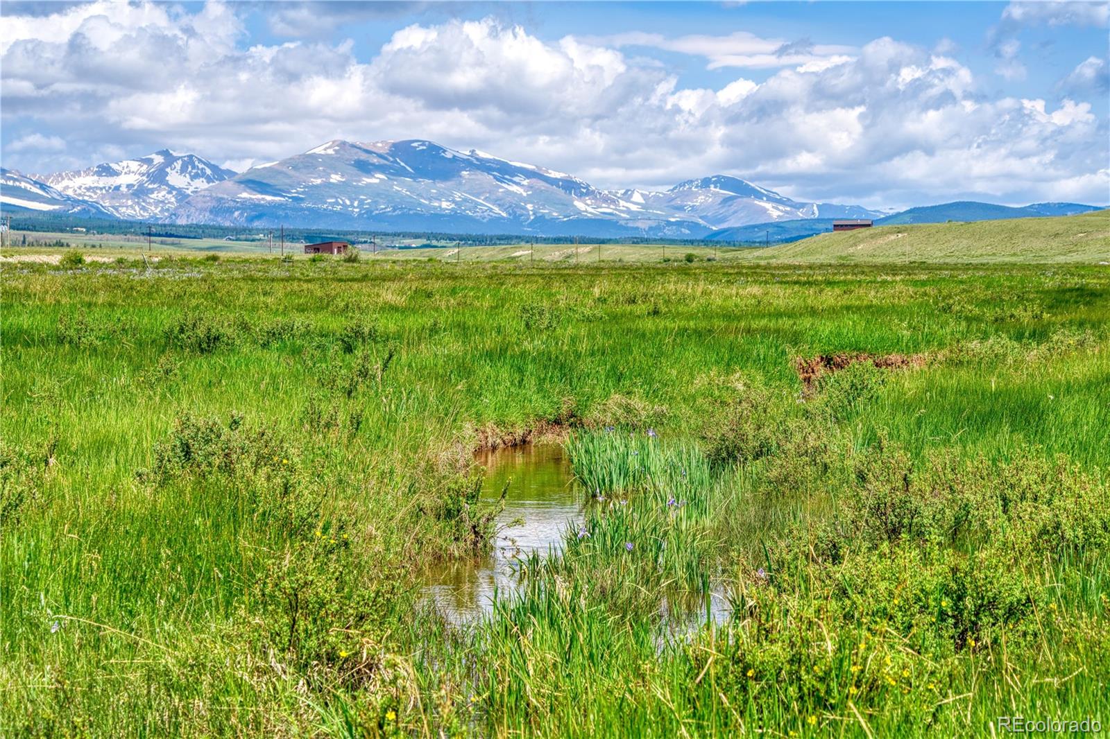 788 Meier Ridge Trail Fairplay, CO 80440 - Photo 15 of 35 Gallery Image 15