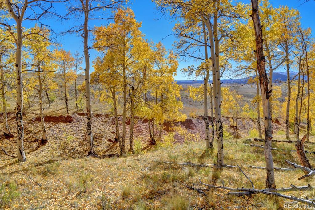 788 Meier Ridge Trail Fairplay, CO 80440 - Photo 4 of 35 Gallery Image 4