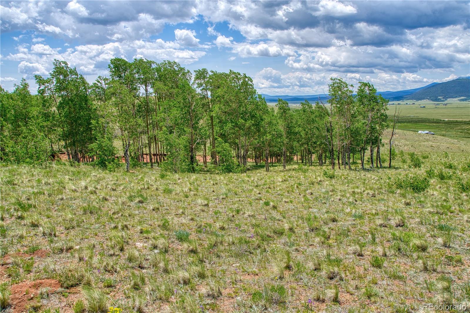 788 Meier Ridge Trail Fairplay, CO 80440 - Photo 5 of 35 Gallery Image 5