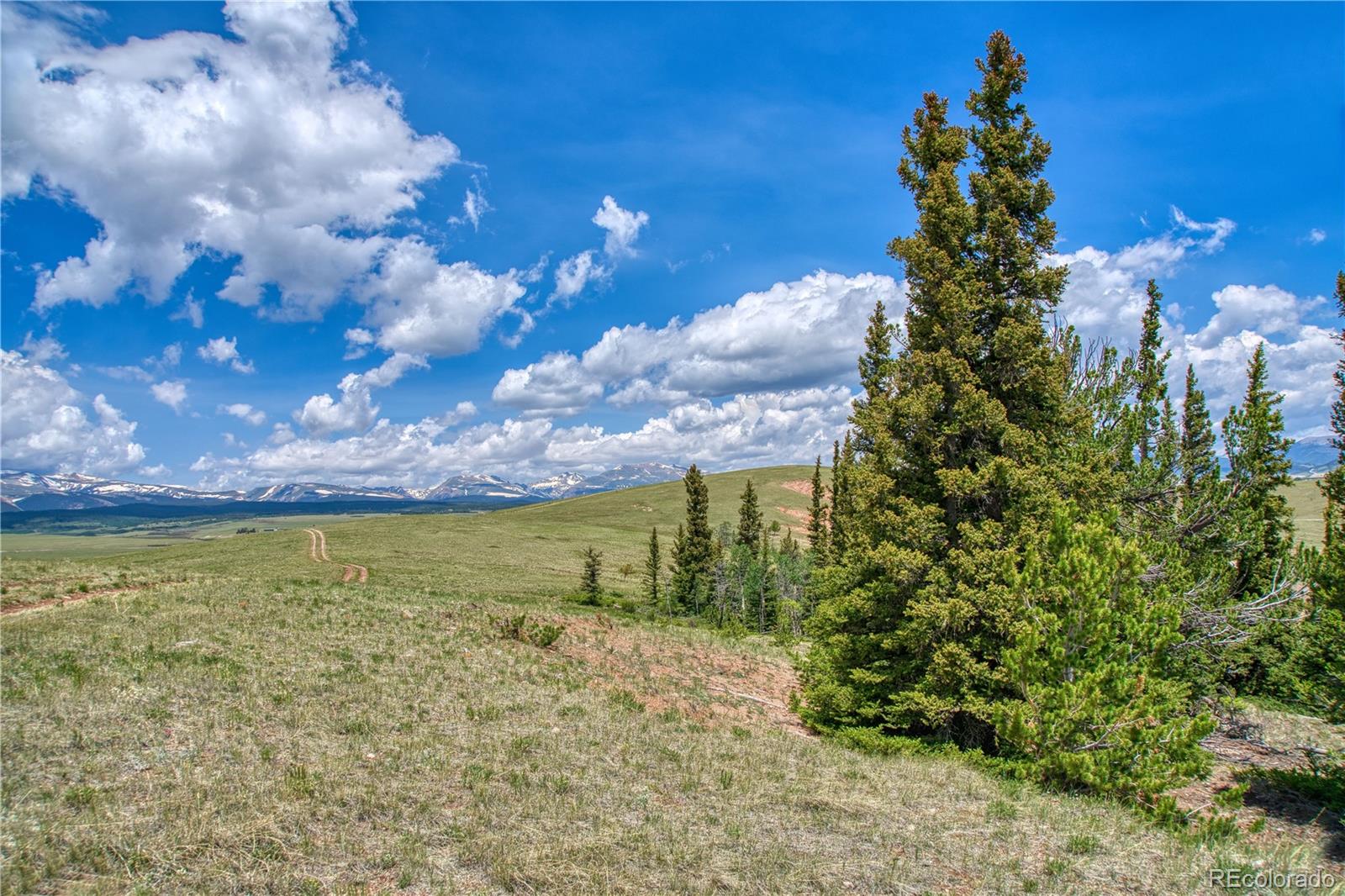788 Meier Ridge Trail Fairplay, CO 80440 - Photo 6 of 35 Gallery Image 6