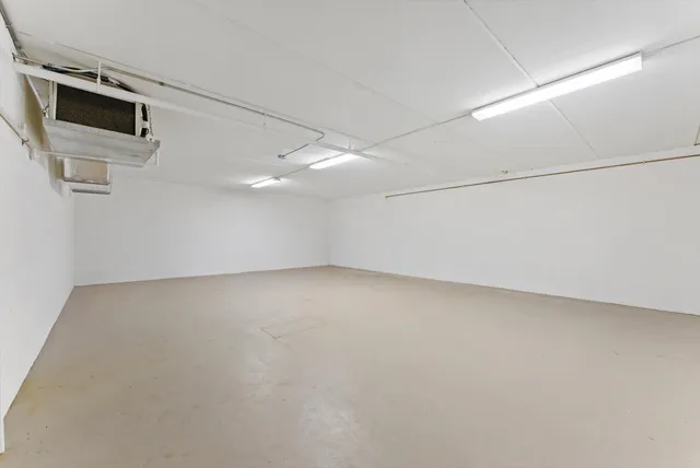 a garden with palm trees