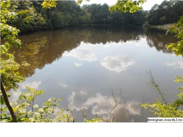 0 Highway 36, Unit 11 AC Chelsea, AL 35043 - Photo 3 of 3