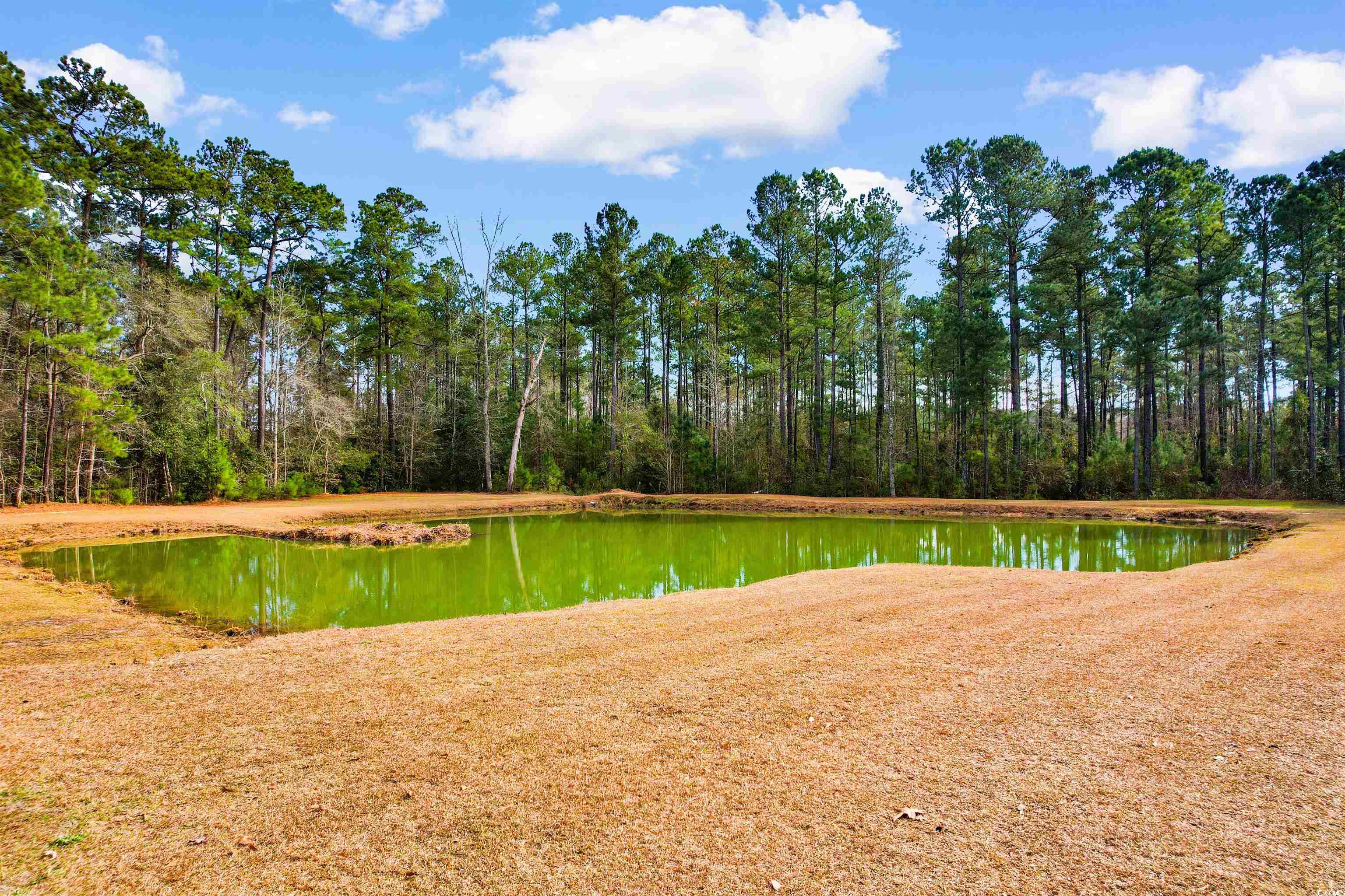 1291 Pisgah Church Road Aynor, SC 29511 - Photo 2 of 39 Water view