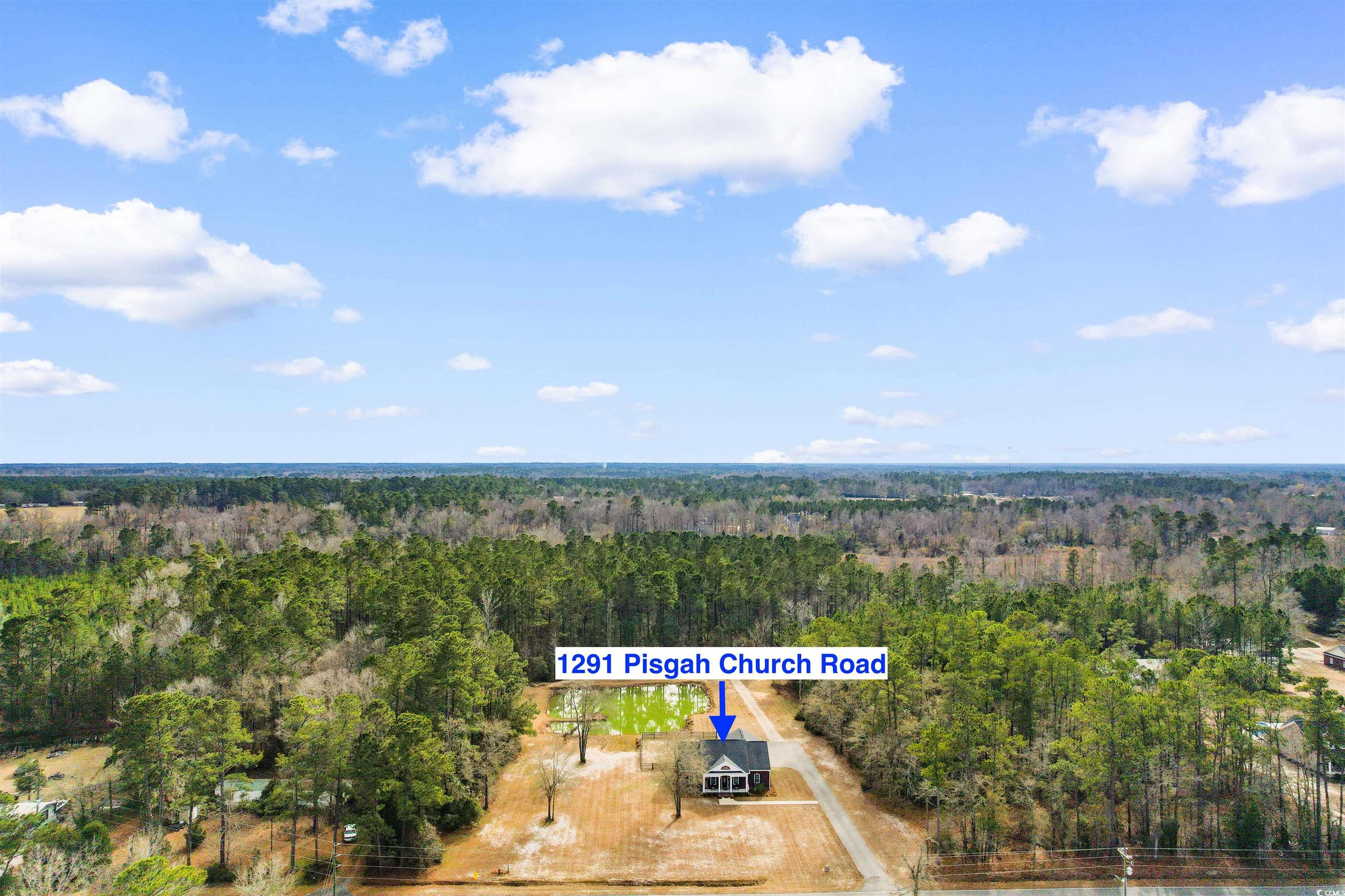 1291 Pisgah Church Road Aynor, SC 29511 - Photo 32 of 39 Drone / aerial view