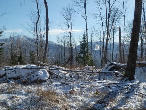 Lot 6 Lot Road Bethlehem, NH 03574 - Photo 1 of 1
