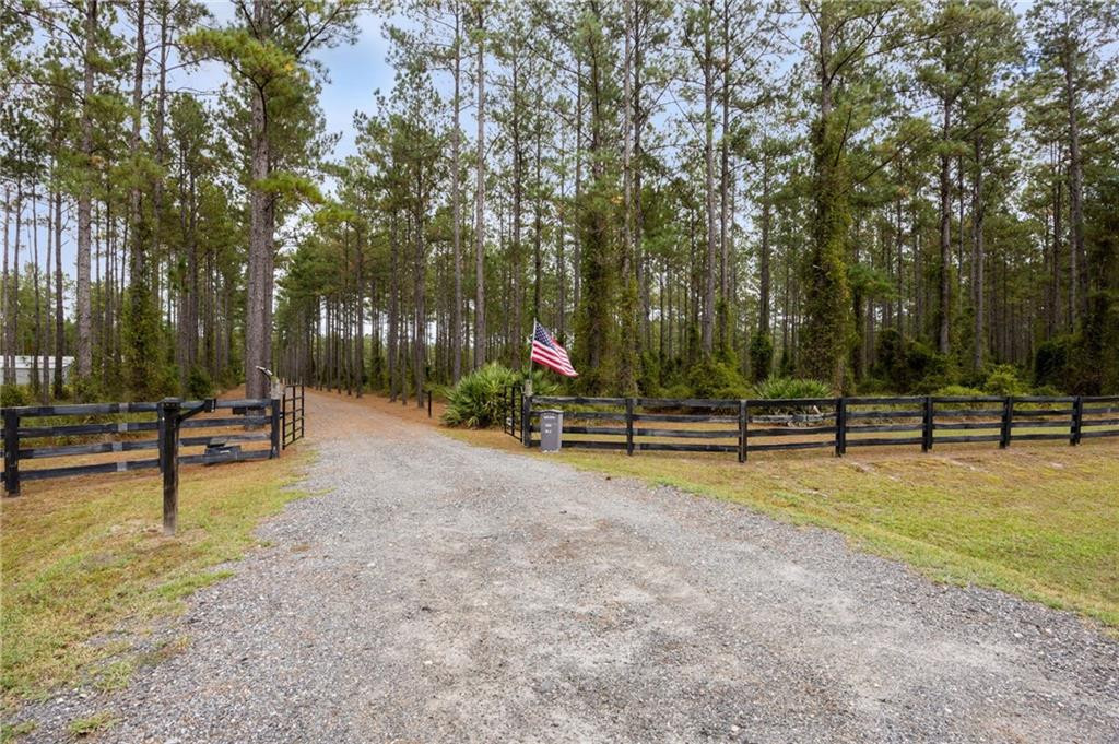 4048 State Rte 259 White Oak, GA 31568 - Photo 68 of 85 Photo 68