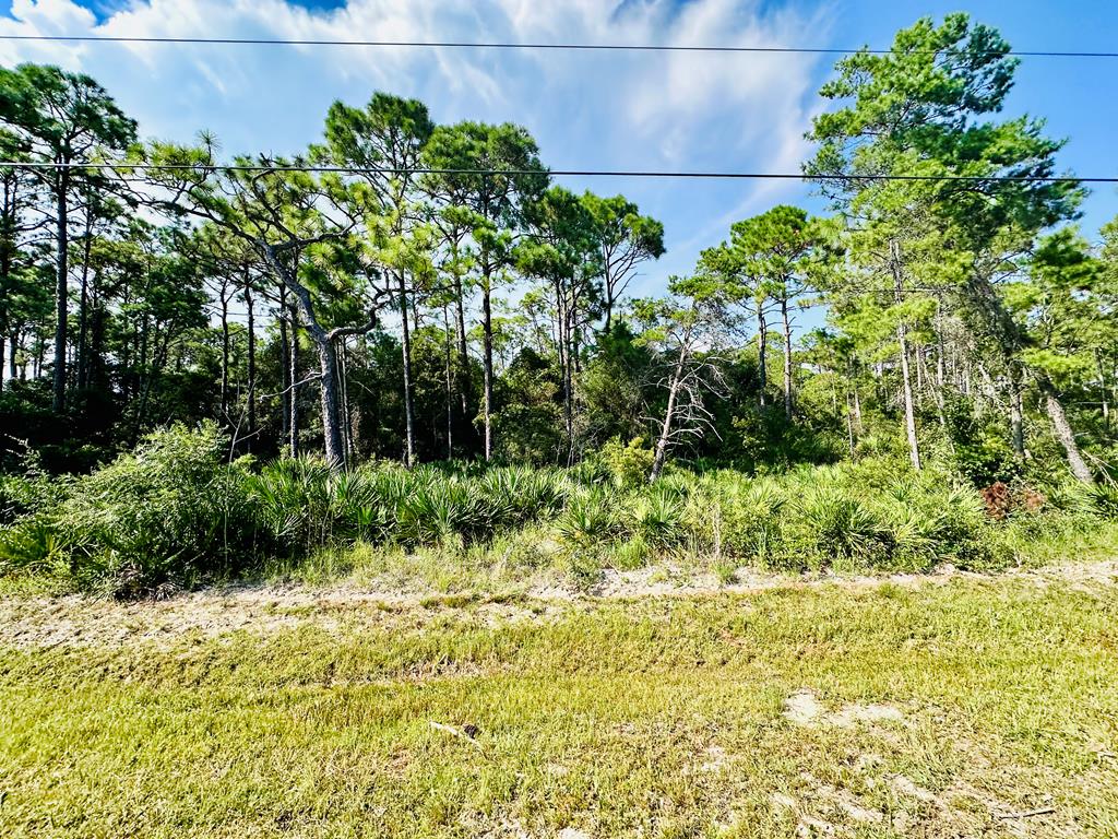 241 Twin Lakes Road Eastpoint, FL 32328 - Photo 1 of 16