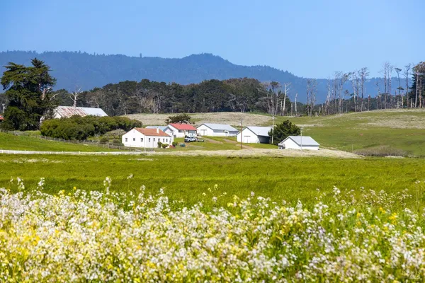 $5,800,000 | 21601 Highway 1, Point Arena, CA 95468