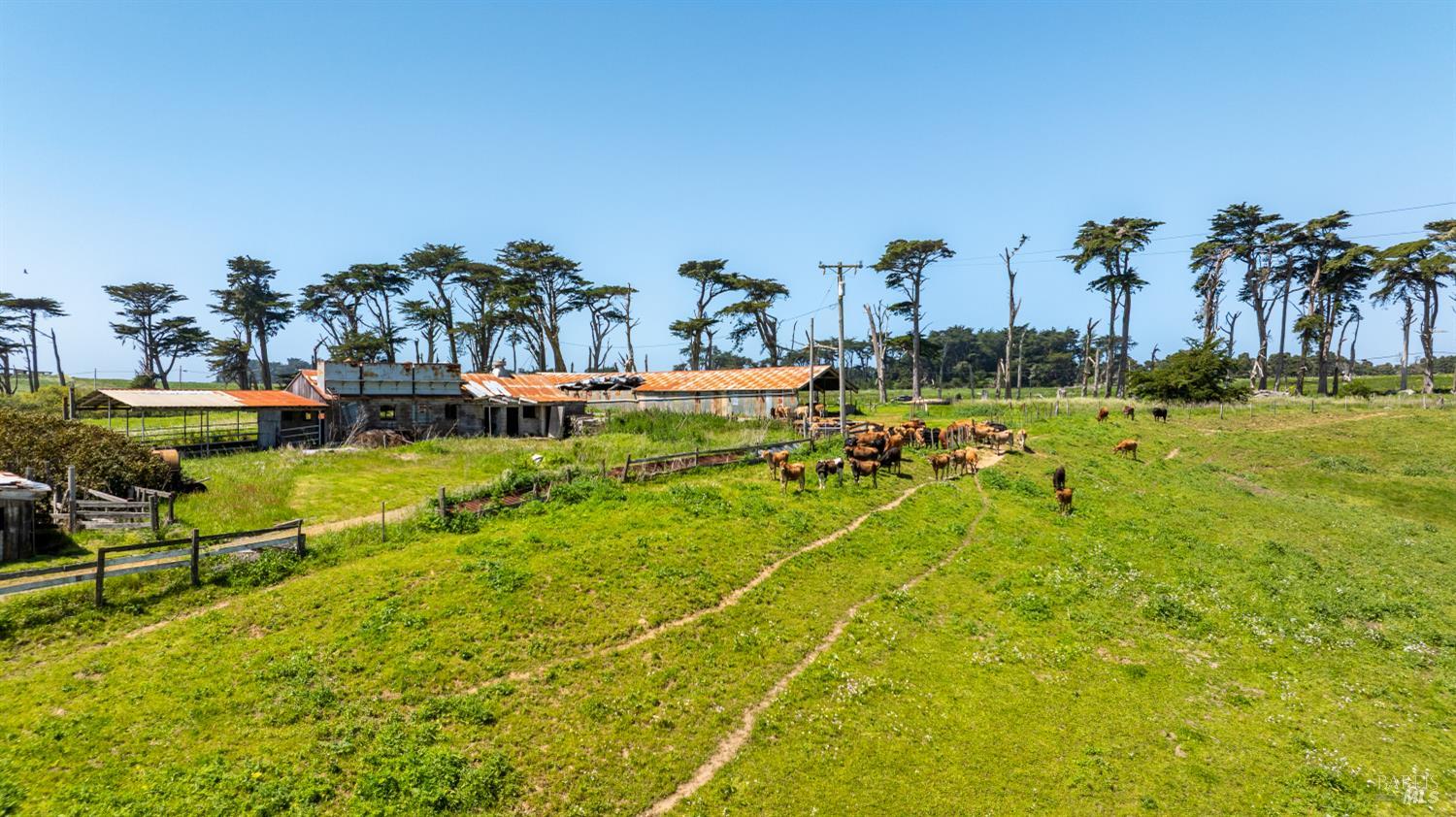 21601 Highway 1 Point Arena, CA 95468 - Photo 28 of 74