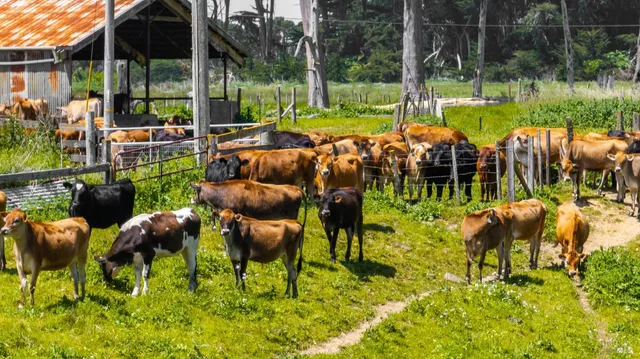 $5,800,000 | 21601 Highway 1, Point Arena, CA 95468