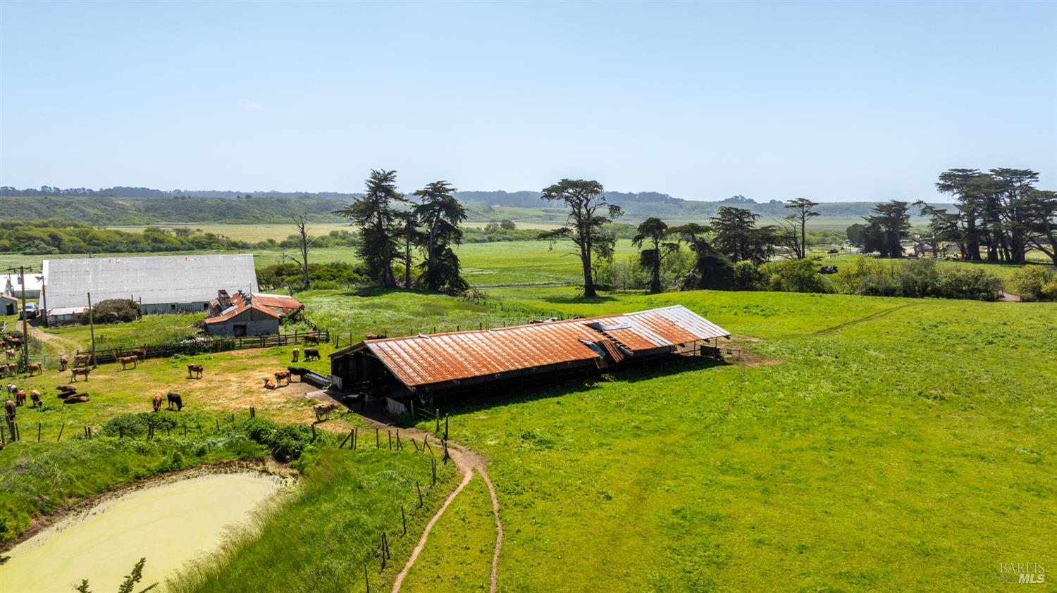 21601 Highway 1 Point Arena, CA 95468 - Photo 40 of 74