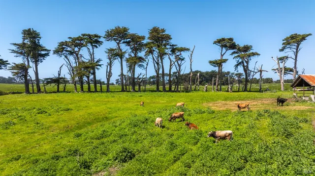 $5,800,000 | 21601 Highway 1, Point Arena, CA 95468