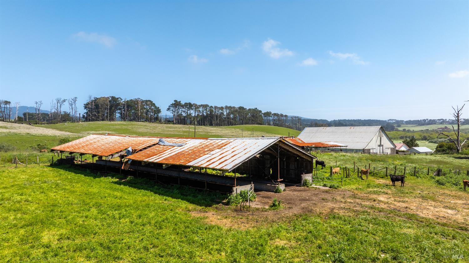21601 Highway 1 Point Arena, CA 95468 - Photo 49 of 74