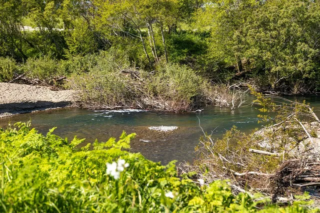 $5,800,000 | 21601 Highway 1, Point Arena, CA 95468