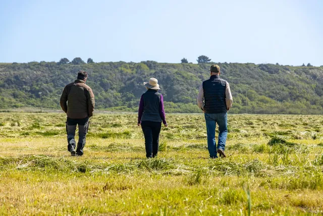 $5,800,000 | 21601 Highway 1, Point Arena, CA 95468