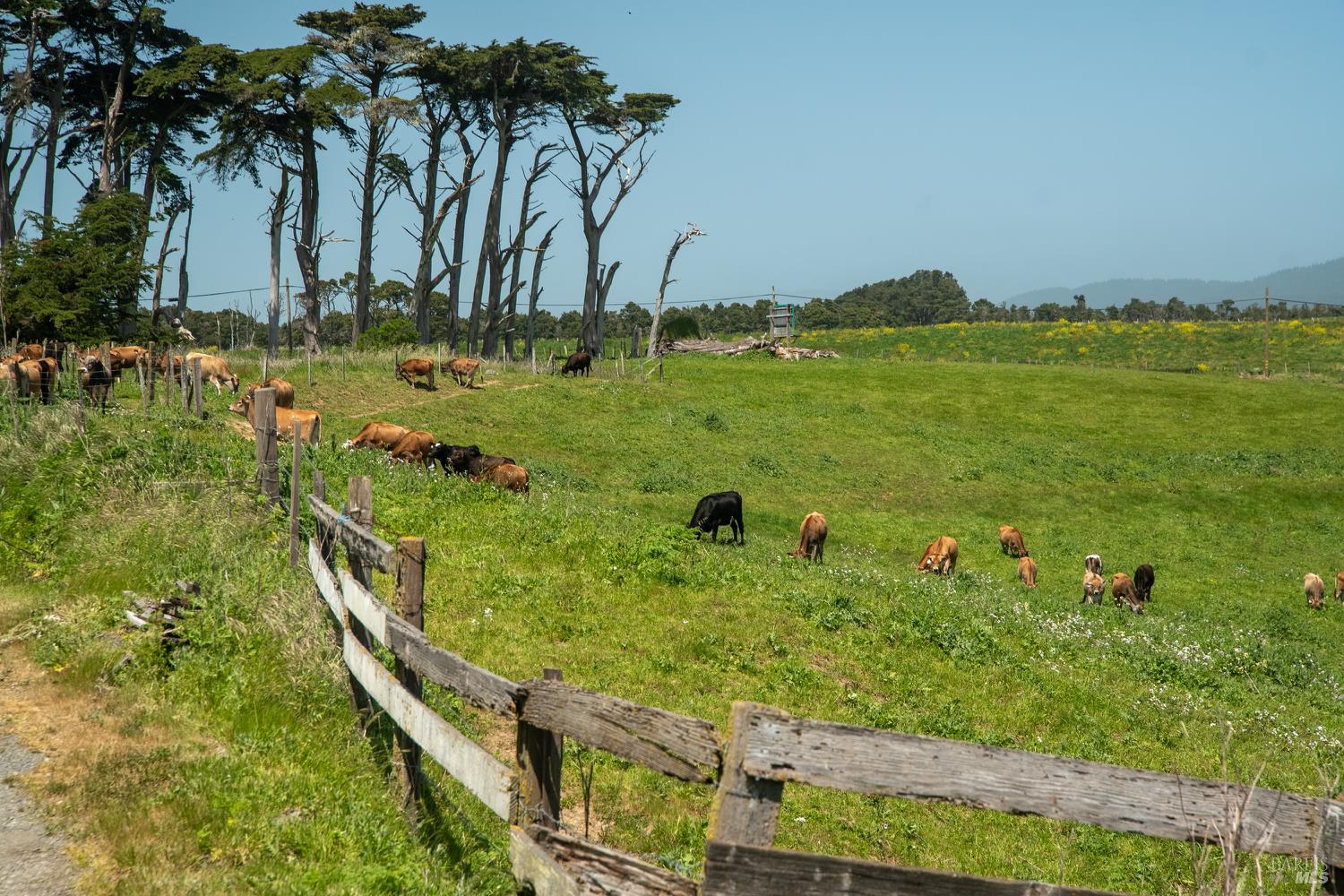 21601 Highway 1 Point Arena, CA 95468 - Photo 74 of 74