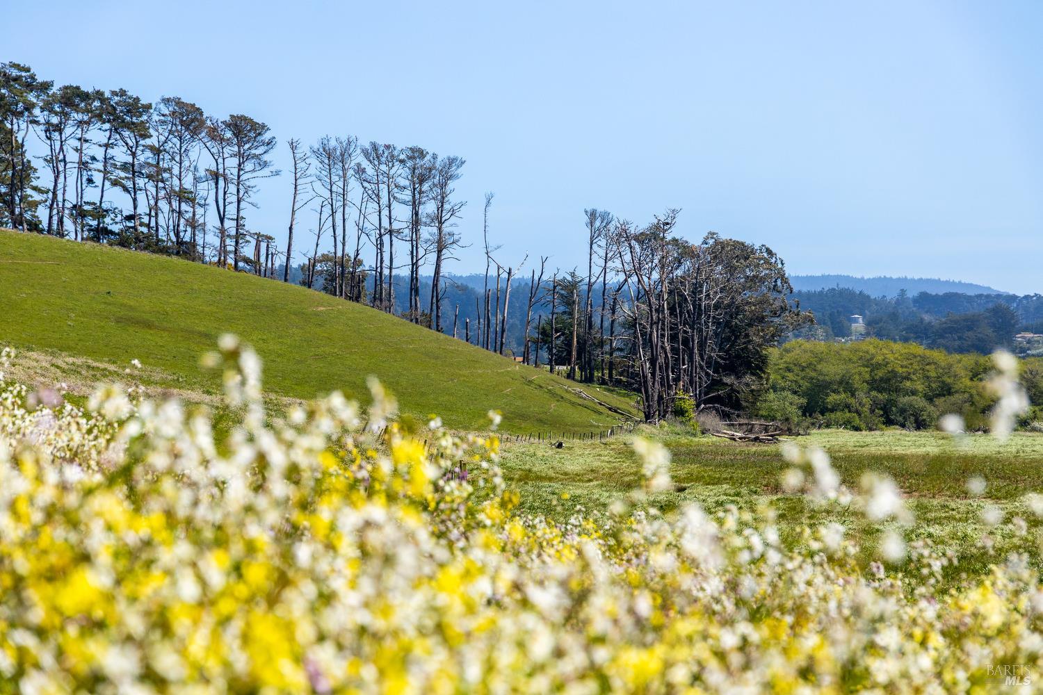 21601 Highway 1 Point Arena, CA 95468 - Photo 10 of 74
