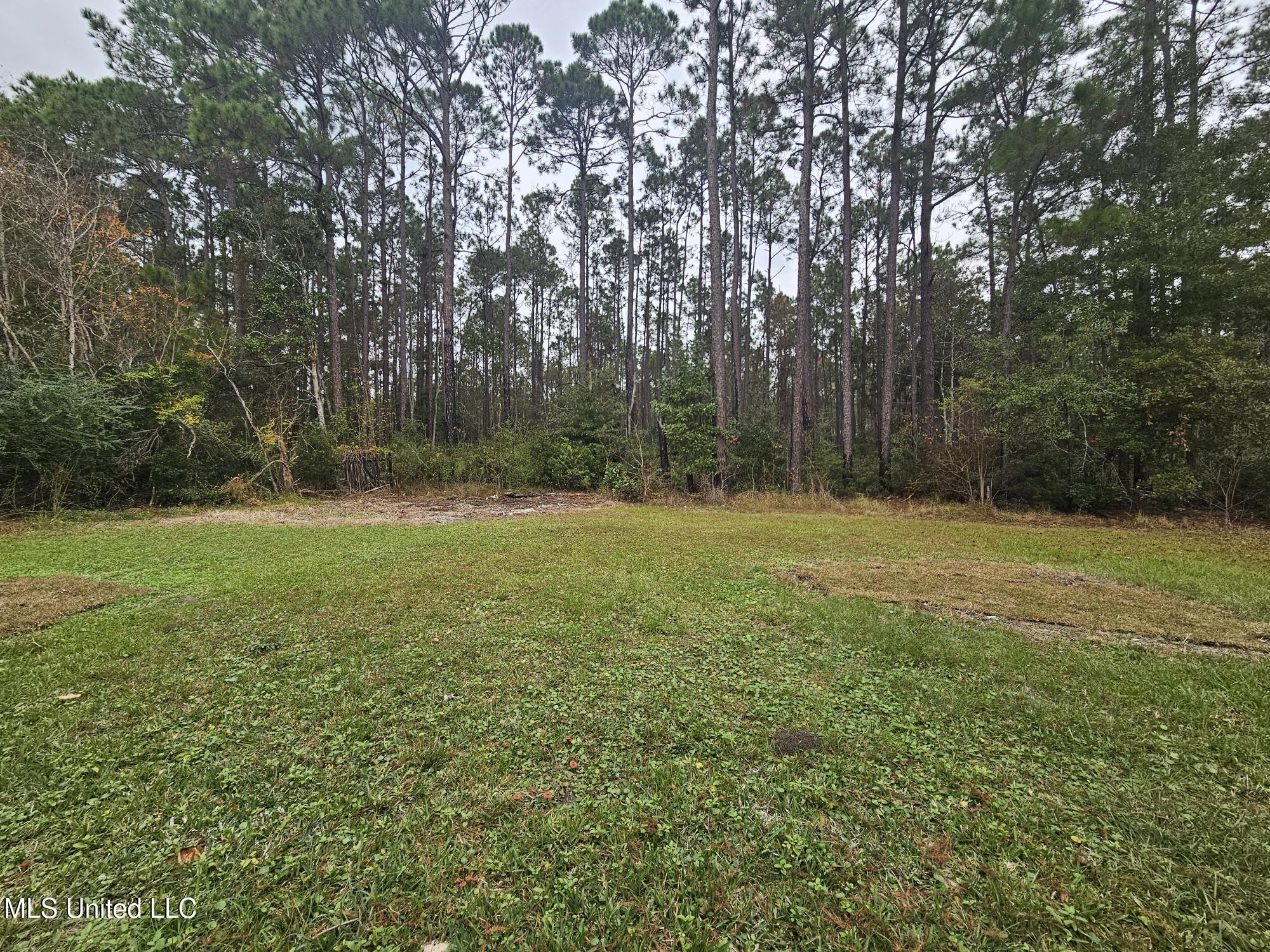 3517 Raintree Drive Gautier, MS 39553 - Photo 19 of 19 backyard