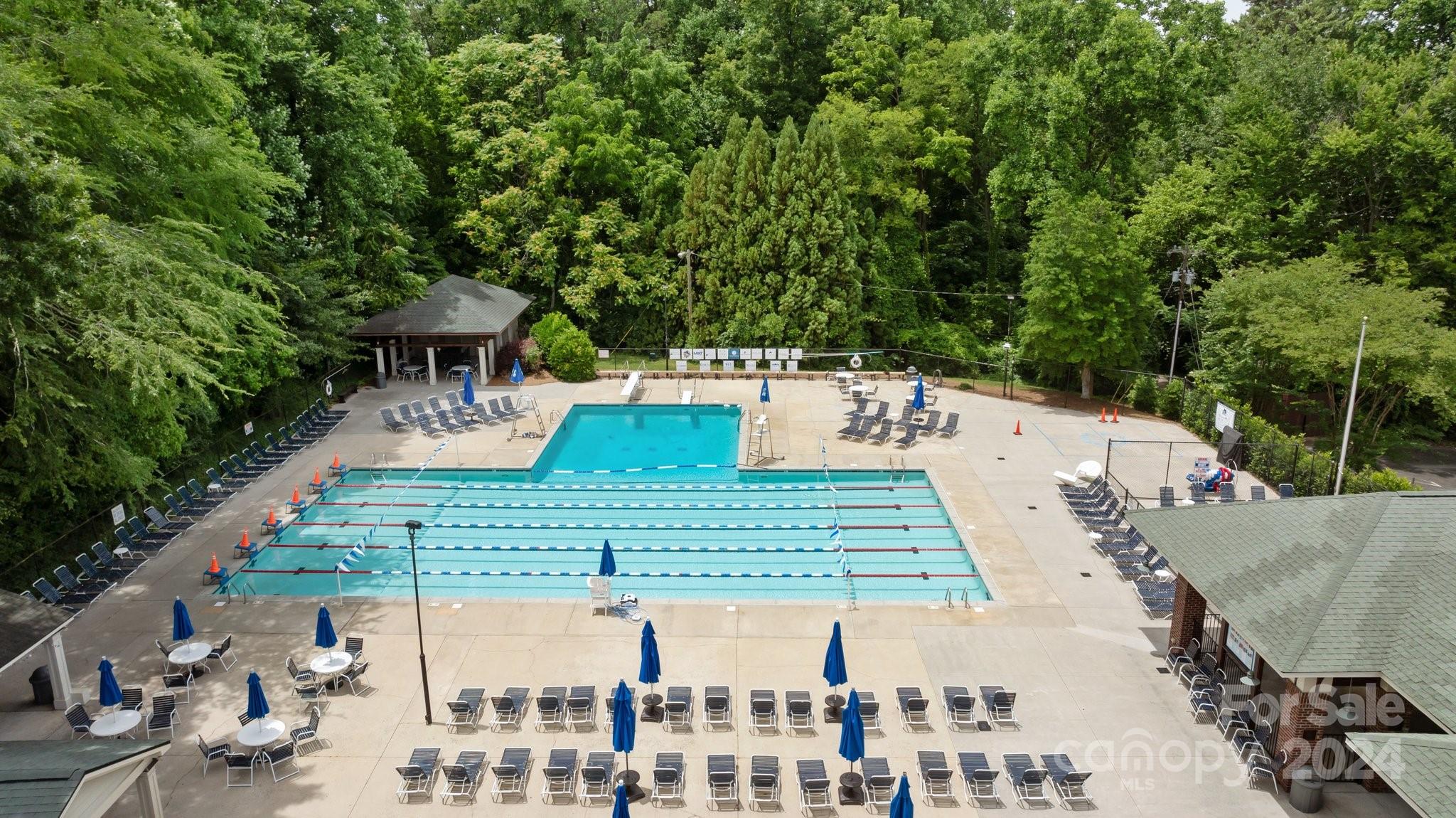 2414 Inverness Road Charlotte, NC 28209 - Photo 46 of 46 a view of a yard with a patio