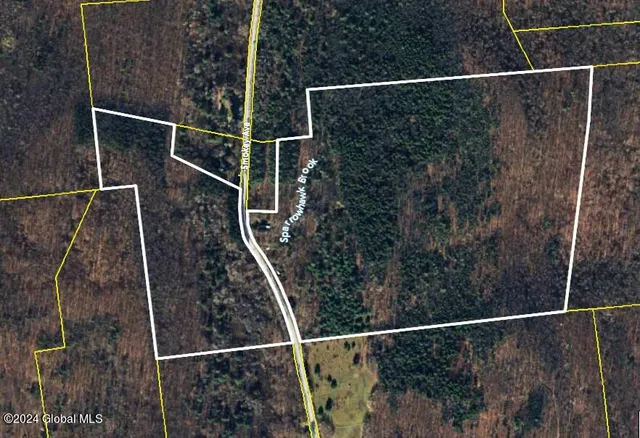 $259,000 | 708 Smokey Avenue, Schenevus, NY 12155