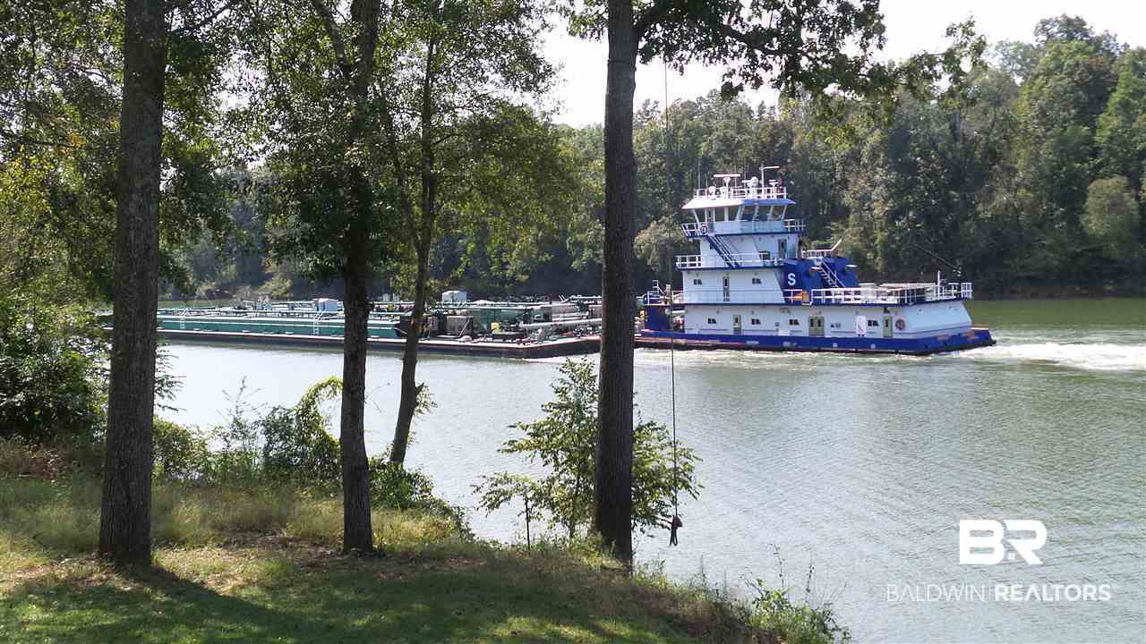 21 Jimmie Phillips Road Sawyerville, AL 36776 - Photo 15 of 41