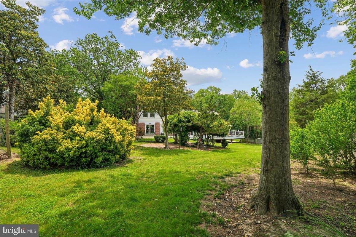 1305 Key Drive Alexandria, VA 22302 - Photo 5 of 64 a view of a yard with a tree