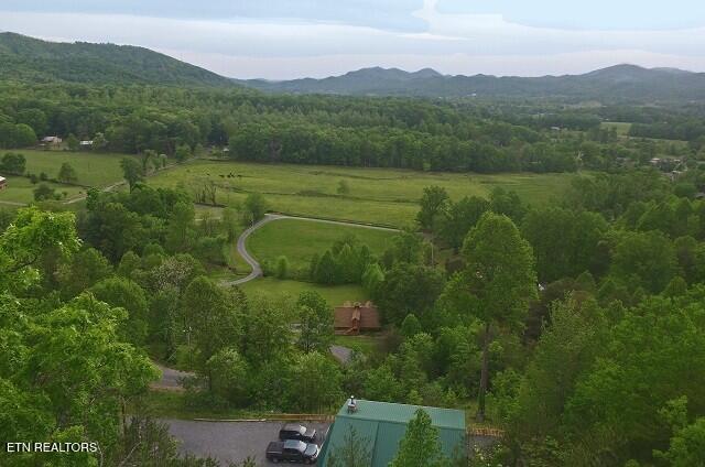 3746 Swearingen Way Sevierville, TN 37862 - Photo 3 of 56 View