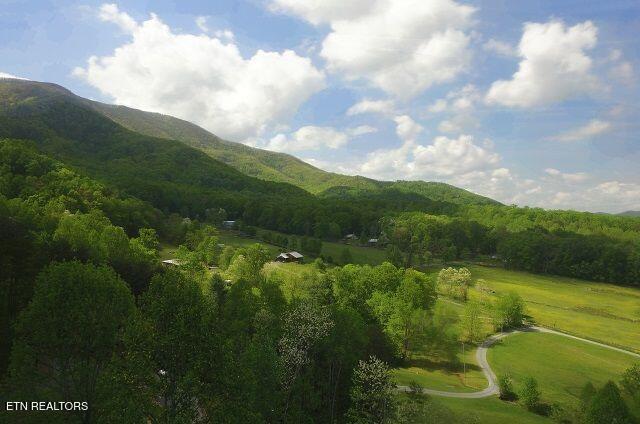 3746 Swearingen Way Sevierville, TN 37862 - Photo 4 of 56 View