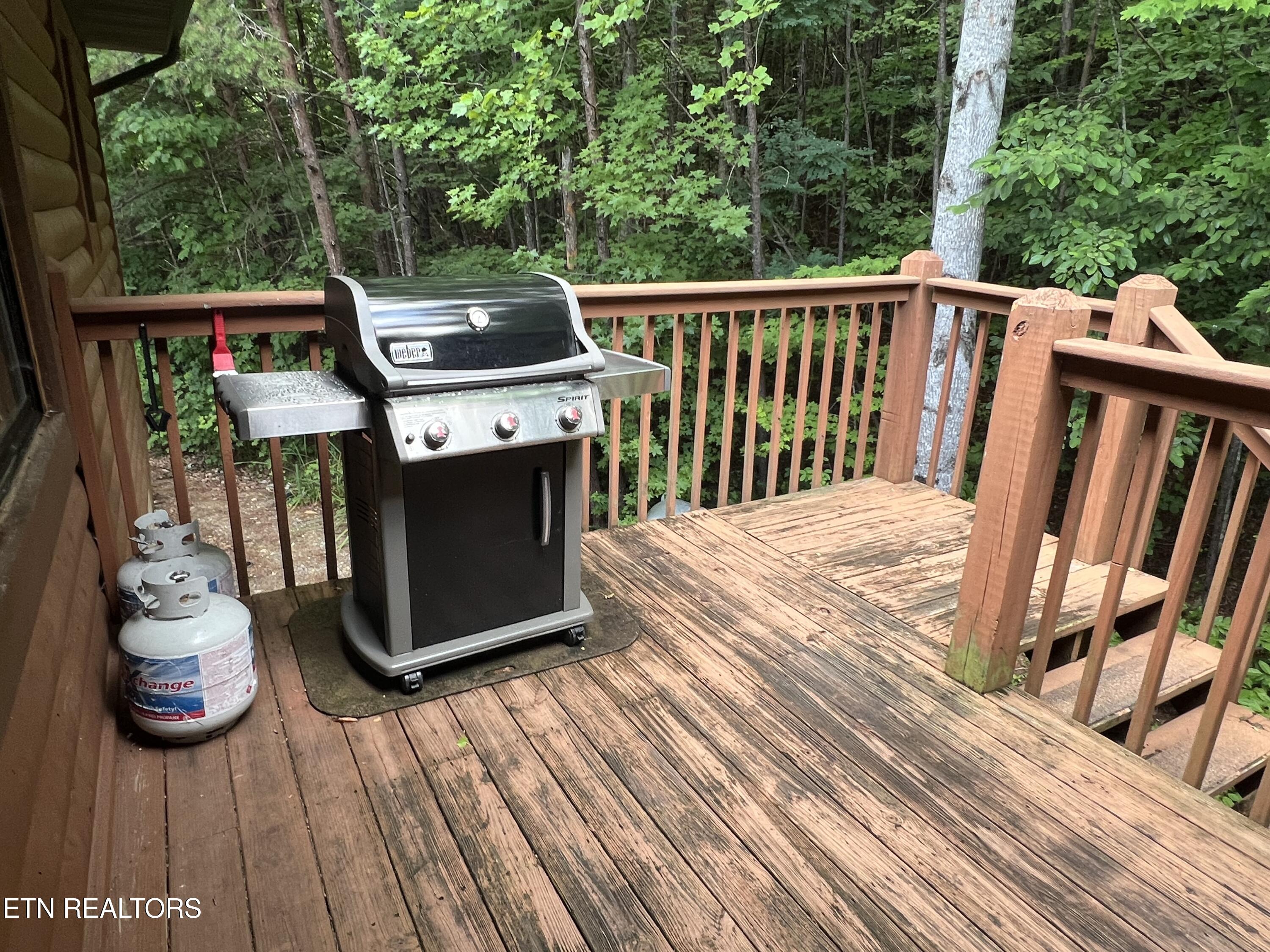 3746 Swearingen Way Sevierville, TN 37862 - Photo 43 of 56 IMG_0604