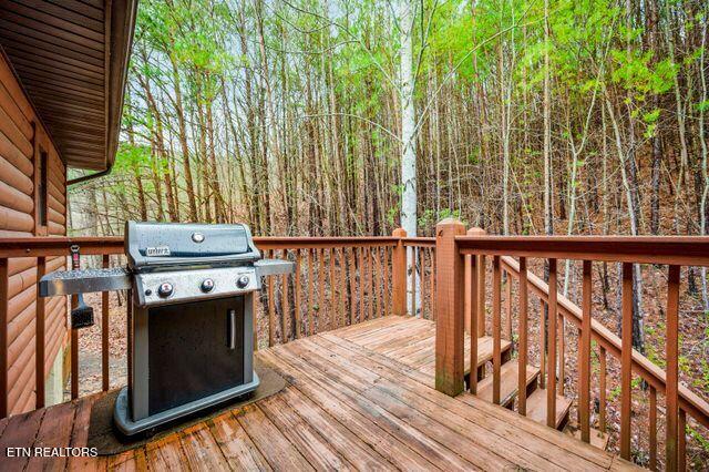 3746 Swearingen Way Sevierville, TN 37862 - Photo 44 of 56 Grill