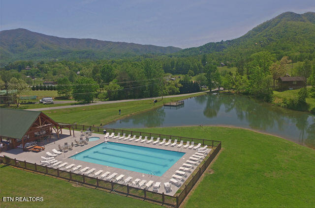 3746 Swearingen Way Sevierville, TN 37862 - Photo 54 of 56 swimming-pool