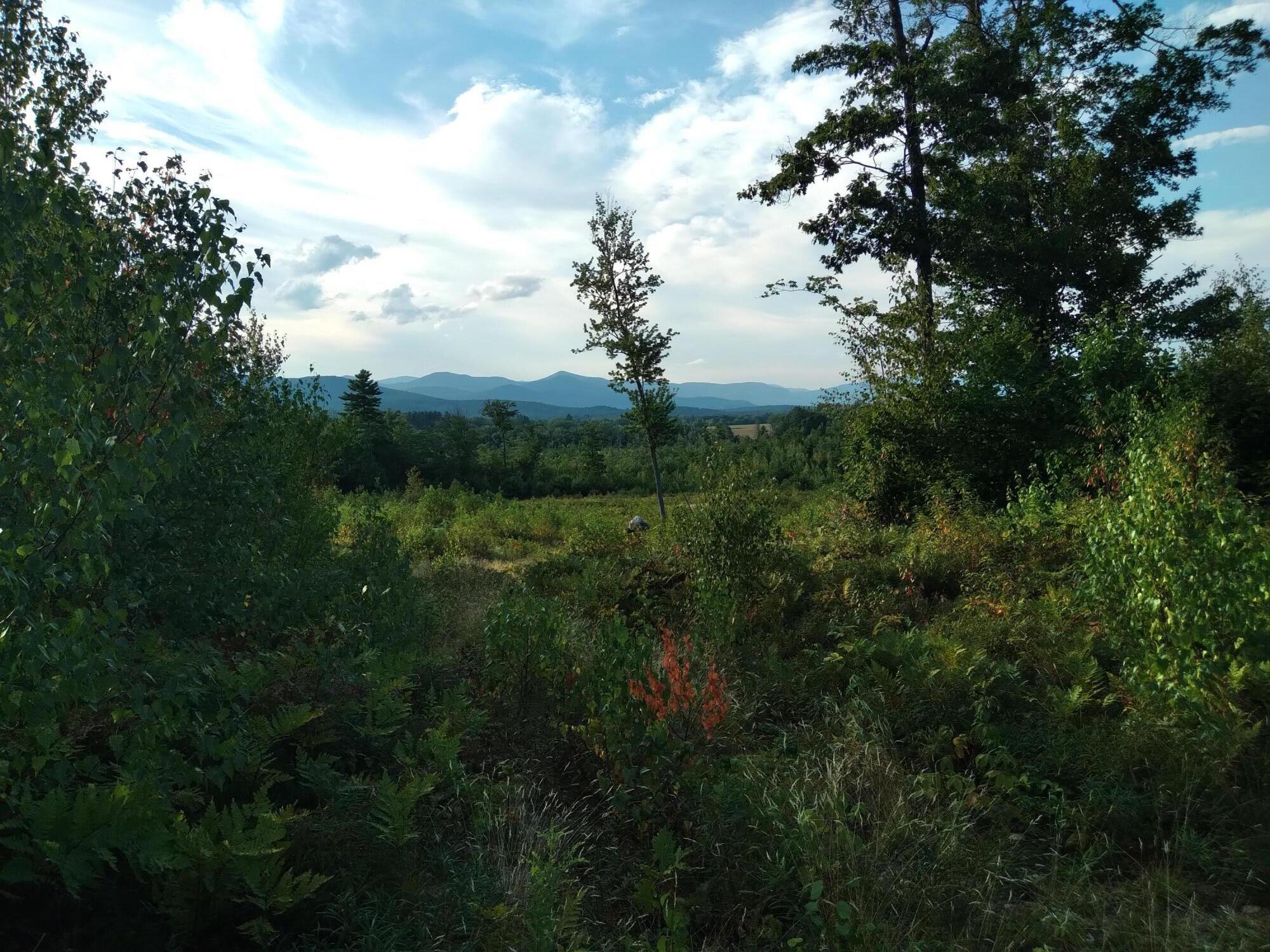 0 Federal Road Fryeburg, ME 04037 - Photo 16 of 21 federal 4