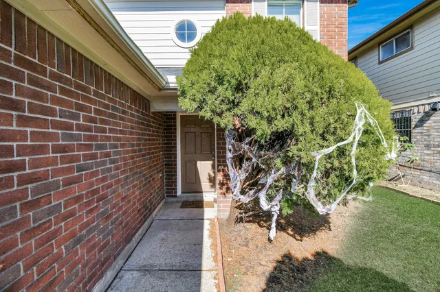 a backyard of a house