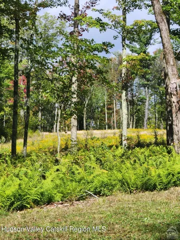a view of a yard with plants and a bench