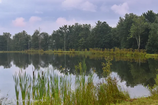 a view of a lake with a yard