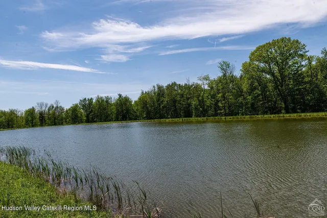 a view of a garden with plants