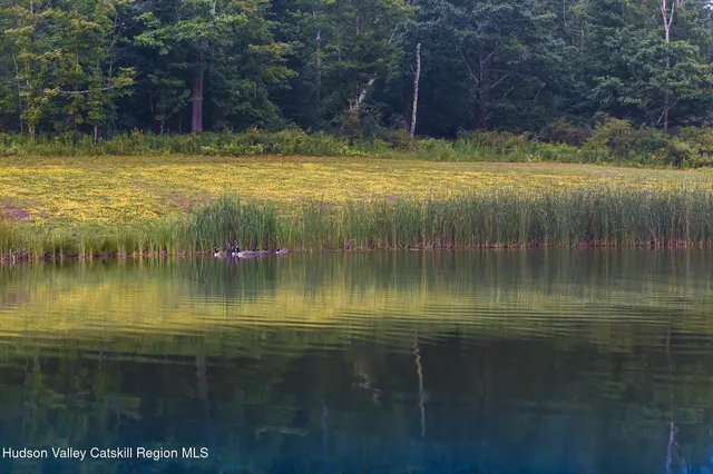 a view of a field with a tree