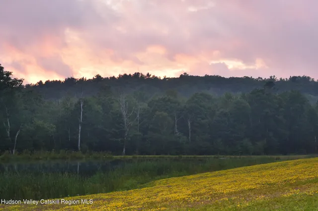 a view of a yard with trees in the background