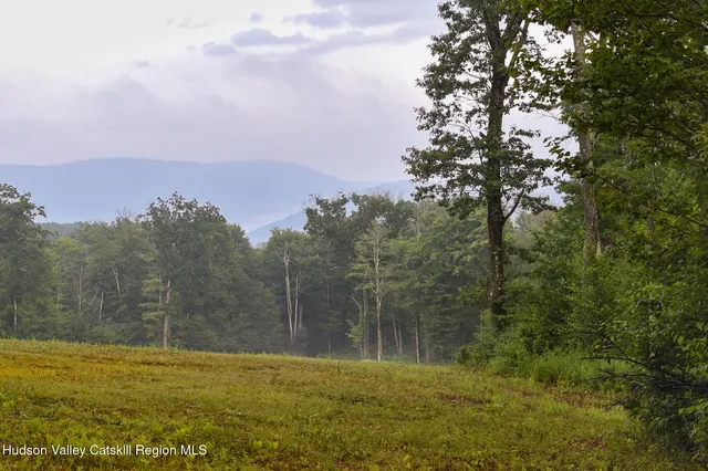 a view of park benches