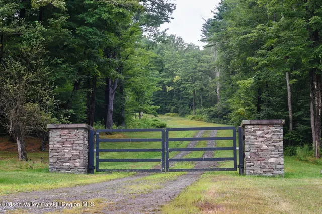 a view of a yard with plants and trees