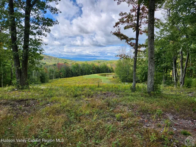 a view of a yard with a house in the background